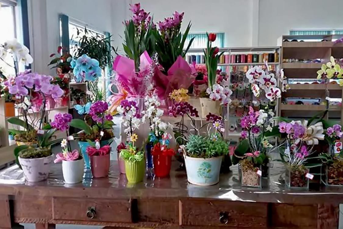 Floricultura Paraíso
